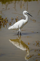 Testfotos Fuji XF 100-400